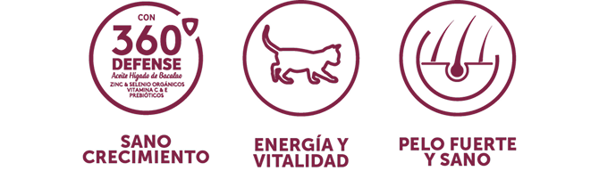 iconos-gaticos 1 (1).png